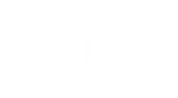 Selected Image